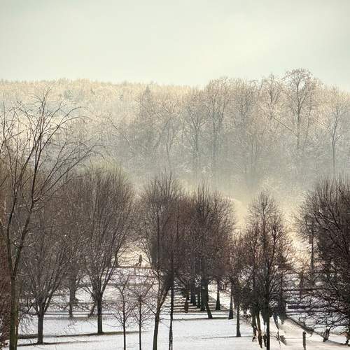 Photo #12867201