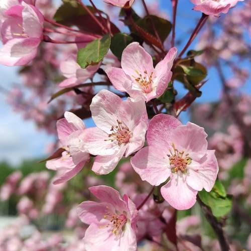 Photo #12867253