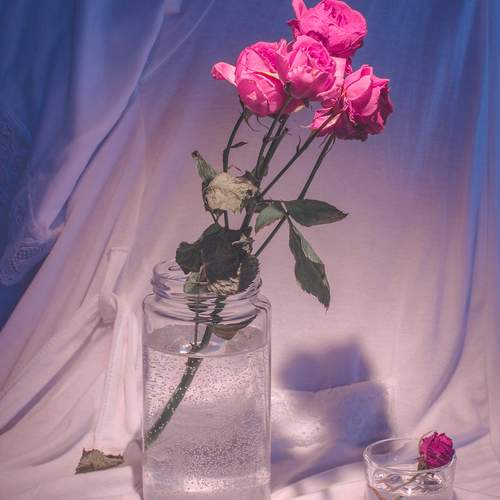 Photo #12867284
