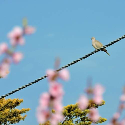 Photo #12868331