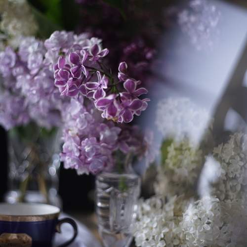Photo #12868371