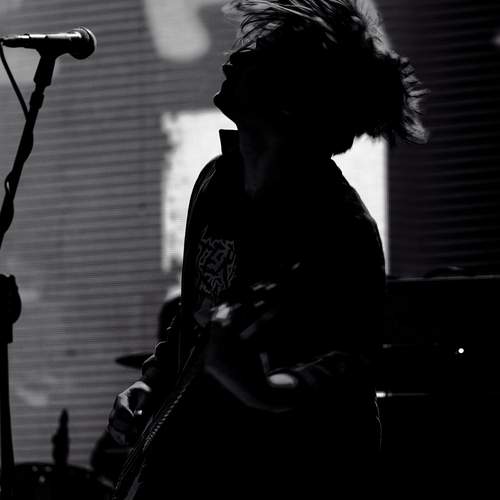 Photo #12868416