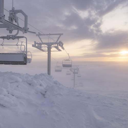 Photo #12868526