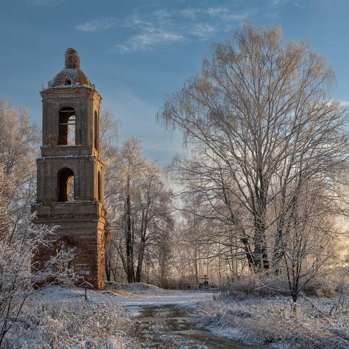 Photo #12868772