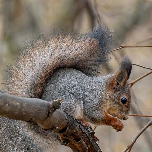 Photo #12868774
