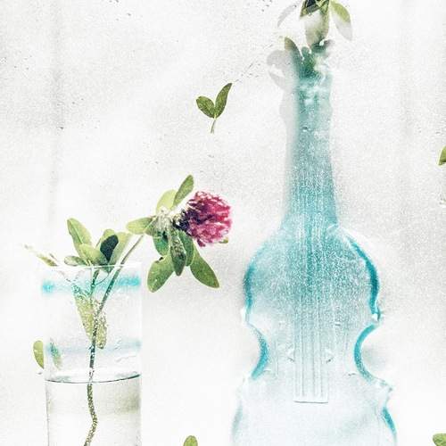 Photo #12868897