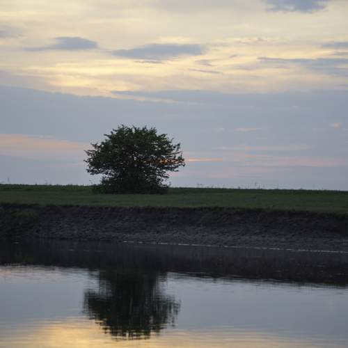 Photo #12868948
