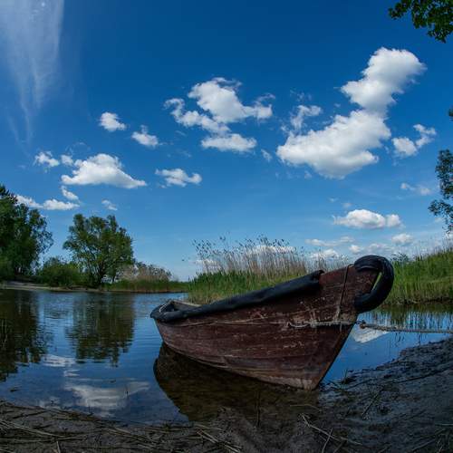 Photo #12869001