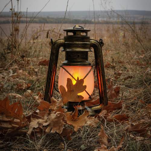 Photo #12869171