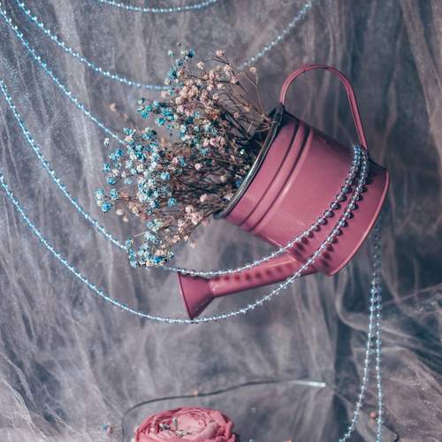 Photo #12869481