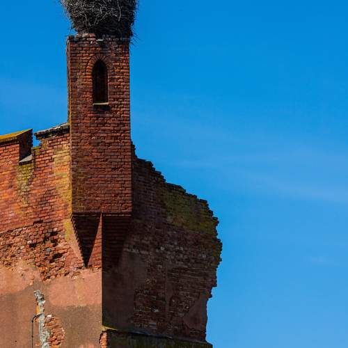 Photo #12869594