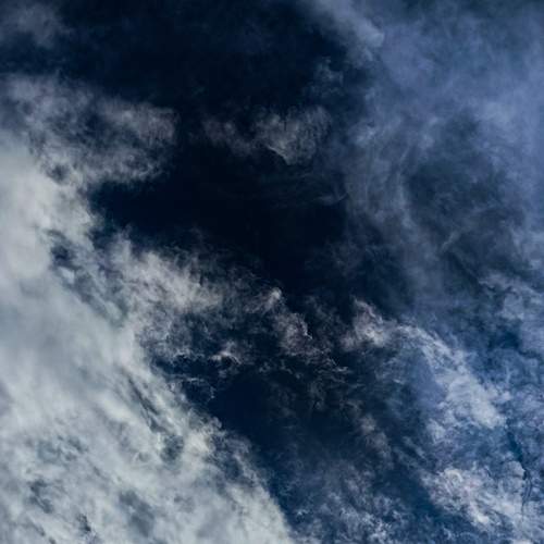 Photo #12869664