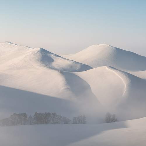 Фотография #12869767