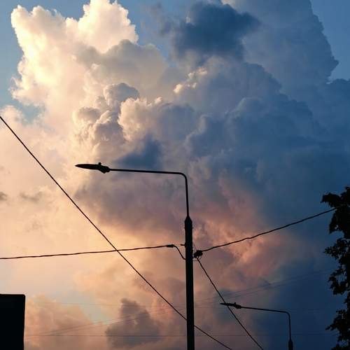 Photo #12870045