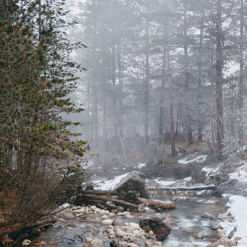 Photo #12870050