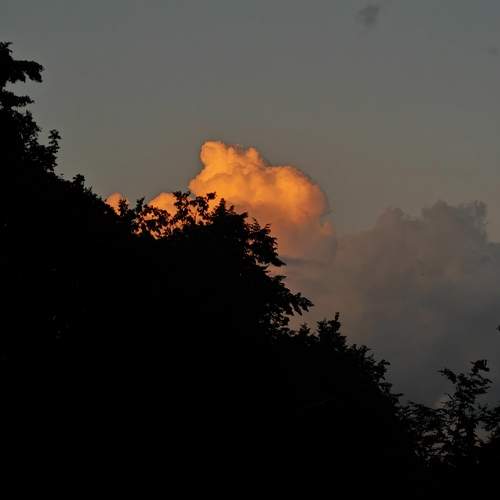 Photo #12870054
