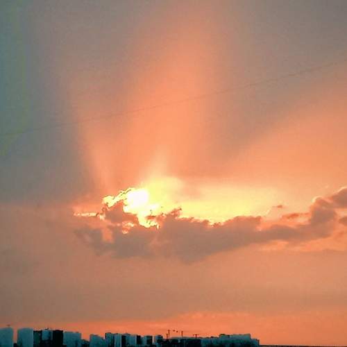 Photo #12870094