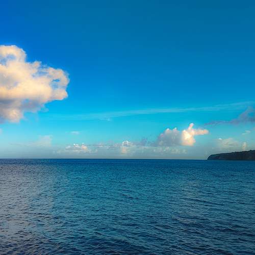 Photo #12870440