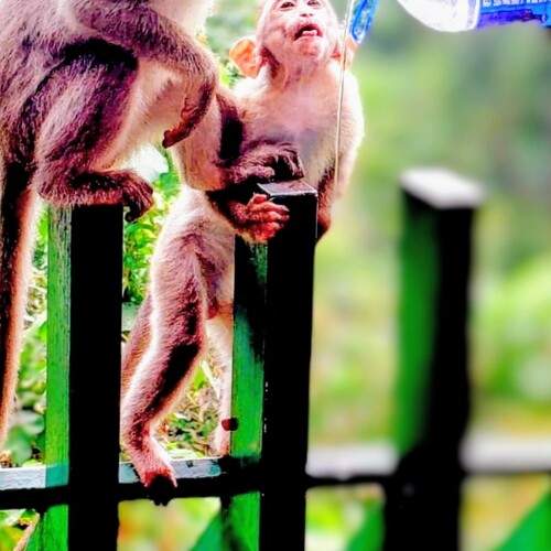 Photo #12870754