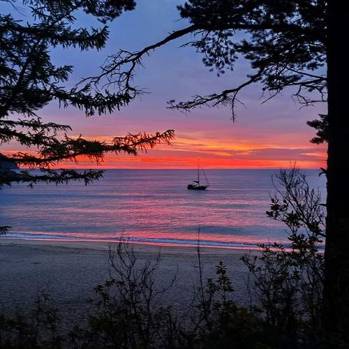 Photo #12870839