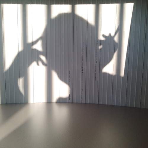 Photo #12871088