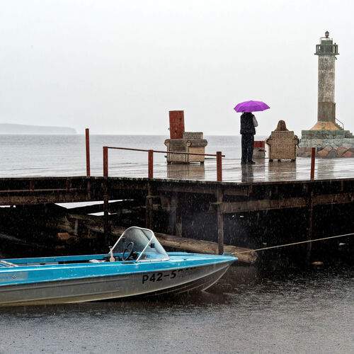 Photo #12871182
