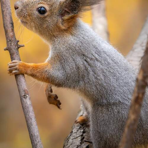 Photo #12871479