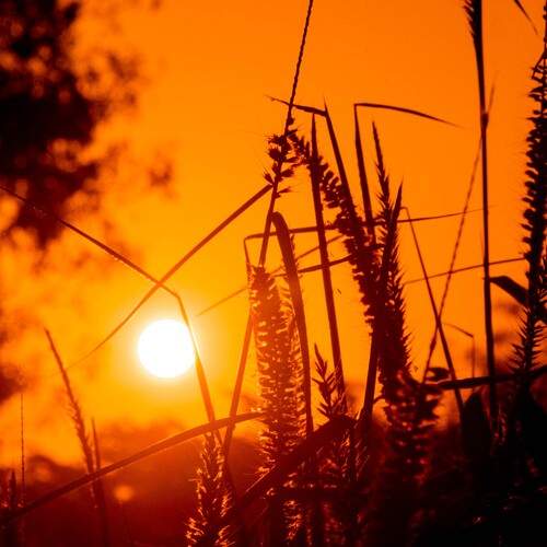 SUNSET FROM BENIN
