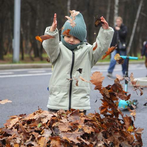 Photo #12872506