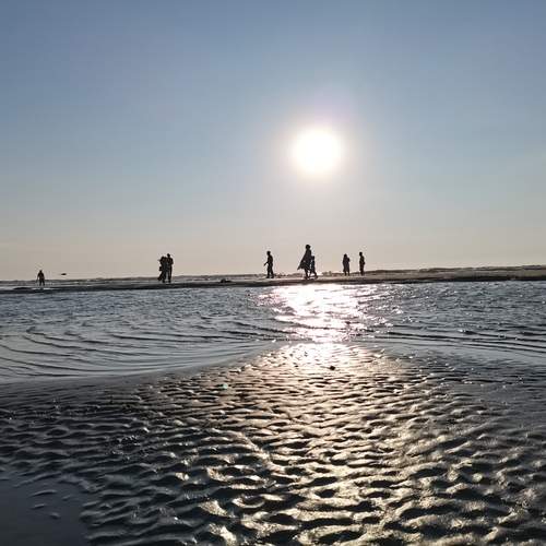 Photo #12872642
