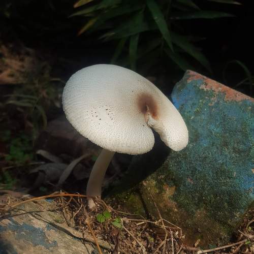 Photo #12872687