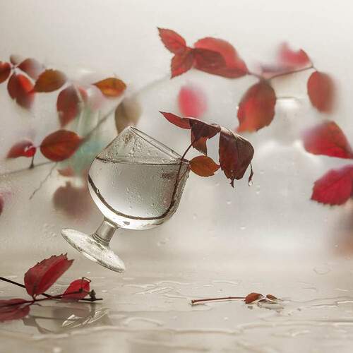 Photo #12872760