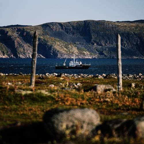 Photo #12872870