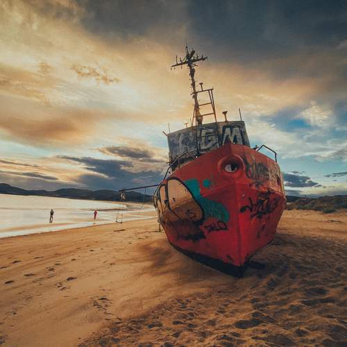 Photo #12872895