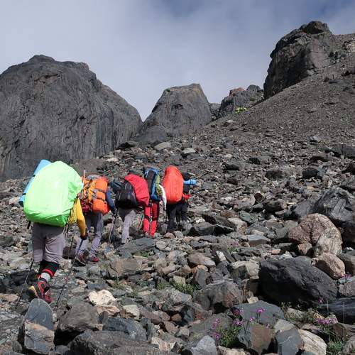 Photo #12873389