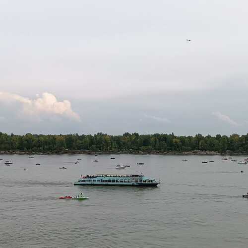 Photo #12873512