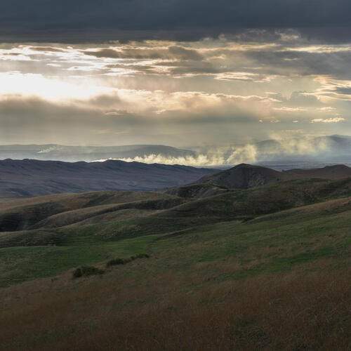 Photo #12873697