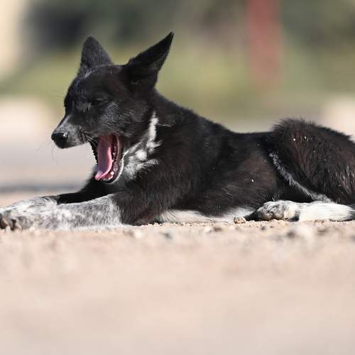 Photo #12873843