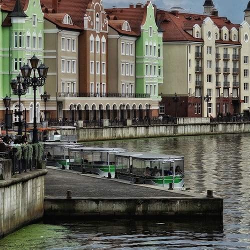 Photo #12873920