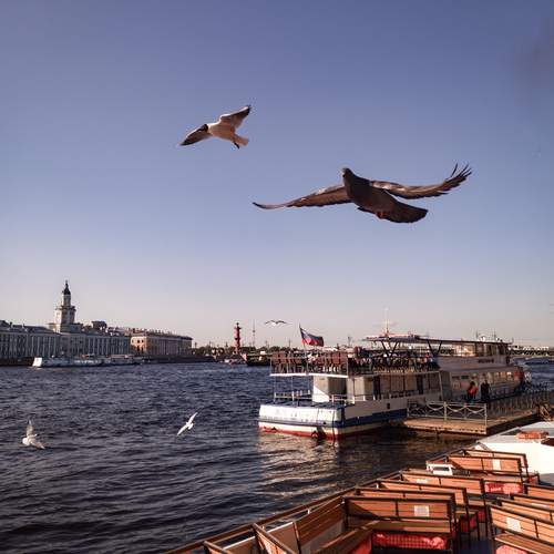 Photo #12874185