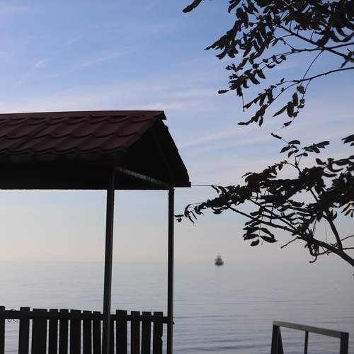 Photo #12874326