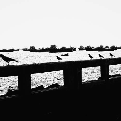 Photo #12874497