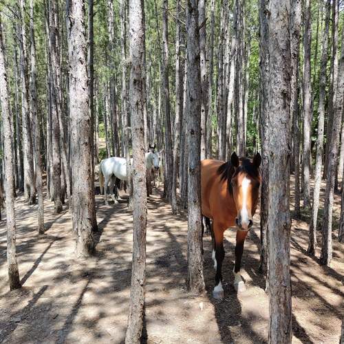 Photo #12874522