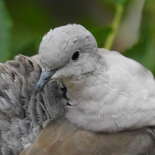 Photo #12874624