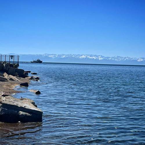 Photo #12874653