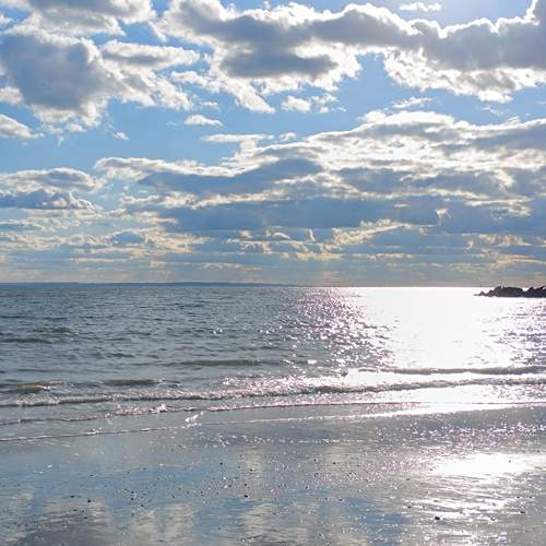 Photo #12874830