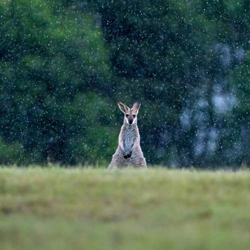 Фотография #12874863