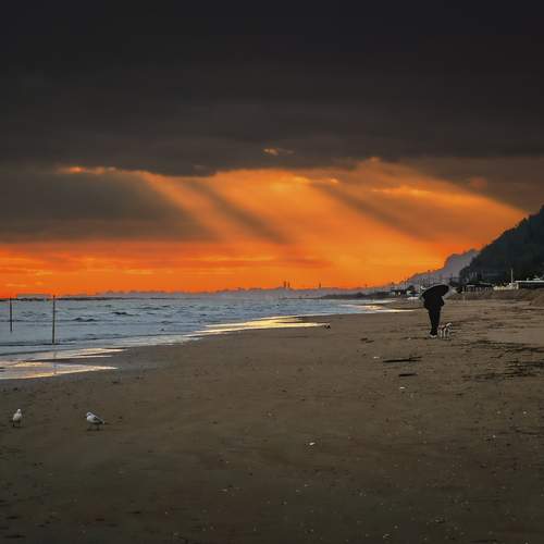 Photo #12874957