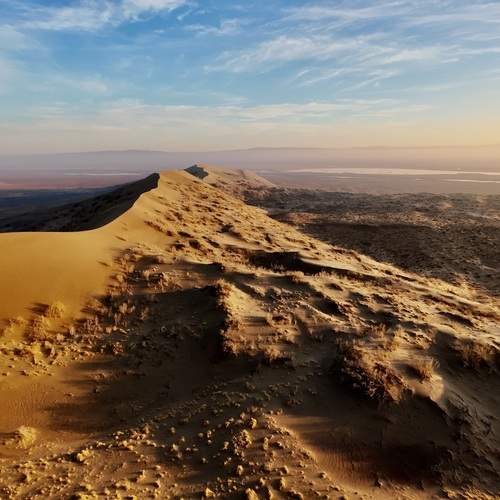 Photo #12875315