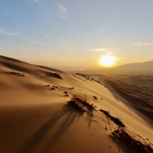 Photo #12875320